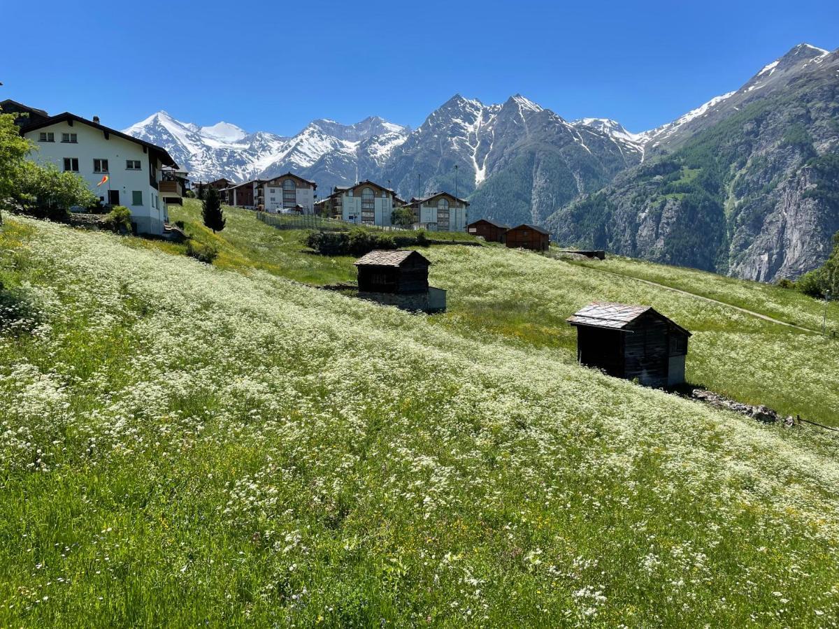 Schwarzhornblick Appartement *